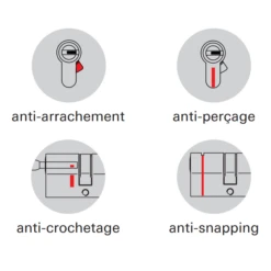 Cylindre Thirard Transit 1 - Nickel Velours - 50 X 50 Mm -Outils Séries Magasin transit